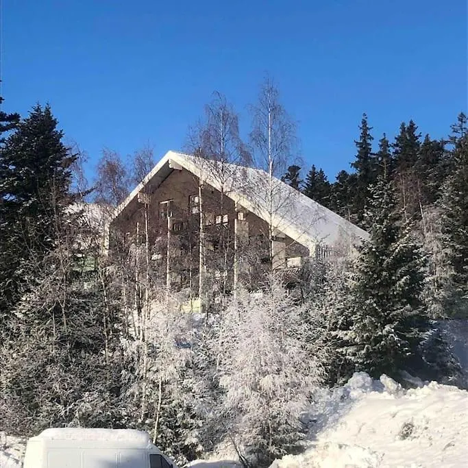 Residence Les Martinets, Grand Studio Vue Degagee, 4 Couchages, Cellier, Meuble De Tourisme 3 Etoiles, Parking Gratuit Chamrousse Appartement
