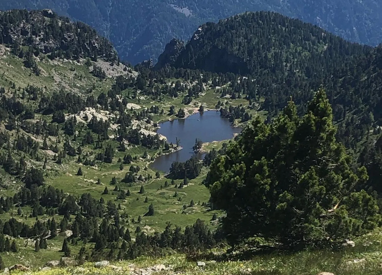 Residence Les Martinets, Grand Studio Vue Degagee, 4 Couchages, Cellier, Meuble De Tourisme 3 Etoiles, Parking Gratuit Chamrousse